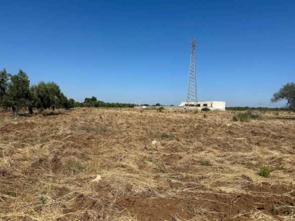 bitritto terreno agricolo