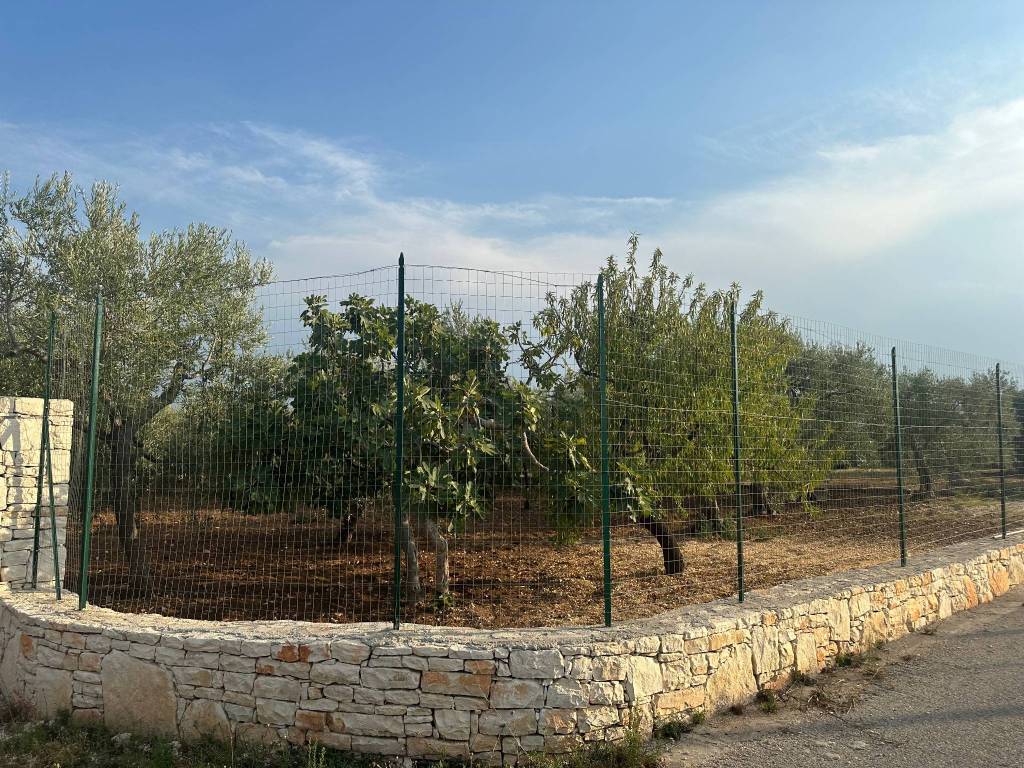 Strada Modugno Bitetto