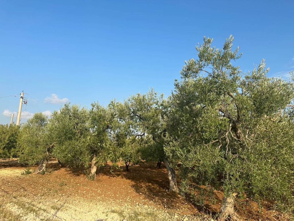 Strada Modugno Bitetto
